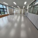 라이온태권도 이미지