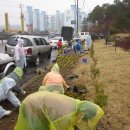 온천대로 이미지