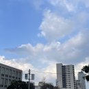 후쿠오카 ✈ #2