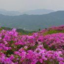 동반자산악회 정선 두위봉(斗圍峰, 1,466m) 첫째주일요일(6월2일) 정기산행 신청란 이미지