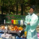 심마니 산약초 이미지