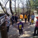 영주초등학교 이미지