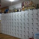 정재광복싱클럽 이미지