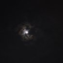 쁘띠호텔 이미지