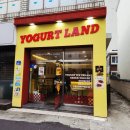 연동랜드 | 연동 요거트 맛집 요거트 랜드 방문후기