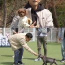 멍멍스쿨 이미지