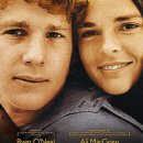 러브스토리 이미지