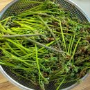 세구지5 이미지