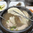 아랫반송로 | 부산 반송동 점심 맛집 별이네 몸보신 제대로한 삼계탕후기