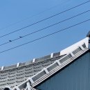 강남농약 이미지