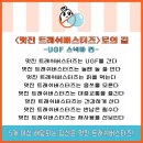 바닐라트래쉬