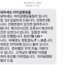 미러글램핑&풀빌라펜션 이미지