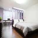 237디자인 Daum카페