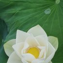 농업회사법인(주)에버그린 이미지