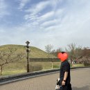 둔마 벽화고분 화장실 | [경주 아기랑 갈만한곳] 사계절 언제 가도 좋은 대릉원·천마총·첨성대 유모차 최적 동선 &amp; 주말 주차...