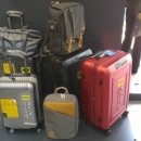 내셔널지오그래픽 진주점 이미지