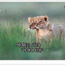 아하비제주