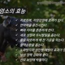 송백흑염소 이미지