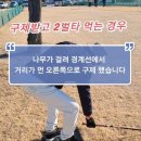 이봐요! 47탄 파크골프 벌타 구제받고 벌타 먹는 경우 이미지