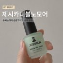 블로썸모어 | 제시카니블노모어 손빠는아기 후기 제발 마지막이길 바라며