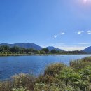 국화호수 이미지