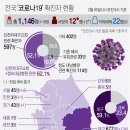 전국 코로나19 확진자현황: 2월26일, 오전 9시 기준 이미지