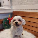 오구오구살롱 이미지