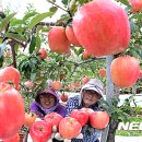 학림농장 이미지