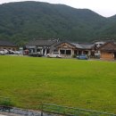 덕진동의보감약초탕 이미지