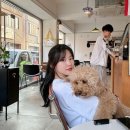 베이다드