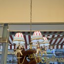 달링하이 강아지분양 창원점 이미지