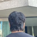 마일맨즈헤어 네이버블로그
