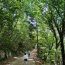 보리암로 | 남해 가볼만한 곳 보리암 해수관음상 금산산장 주차 웨이팅 후기