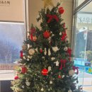 방가네 | 상관리조트 편백숲 온천♨️ + 방가네 주먹구이 연탄구이 맛집 후기