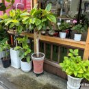 투몬스터캔커피 월피점 이미지