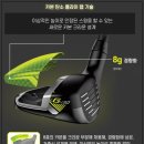 더미스랩 인터내셔널
