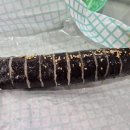 합천분식 이미지