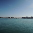 월정리에 이미지