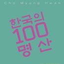 생것 미디어