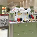 현대중동헤지스여성 | 뉴클리드ㅣ부천 현대백화점 팝업스토어 (여성청결제, 이너케어 티슈 추천)