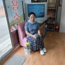 평산청과