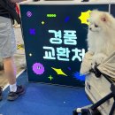 2025 일산킨텍스 메가주케이펫페어 킨텍스주차장 메가주 내돈내산