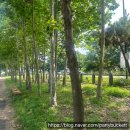 사리울근린공원 공원화장실 이미지