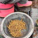 민건농장 이미지