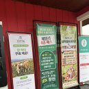 상영목장 | [증평/아기랑 가볼만한곳] 22개월 아기랑 벨포레 목장 나들이 : 입장료, 무료 입장 꿀팁, 양몰이 공연까지!