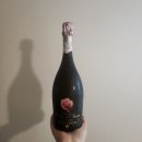 트레이닝 메이트 | 트레이닝 끝나고 쓰는 외항사 승무원 합격 이후 과정과 첫비행 후기