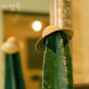 ABC헤어 - 원주시 | ABC헤어