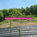 만식농장 이미지