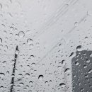 기린종합상사 이미지