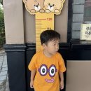 (주)판다미디어 | 이월드 여름에 즐기기, 글로우사파리 대구 : 판다 홀로그램 전시전! 아이랑 더위식히기 딱인 곳 이용...